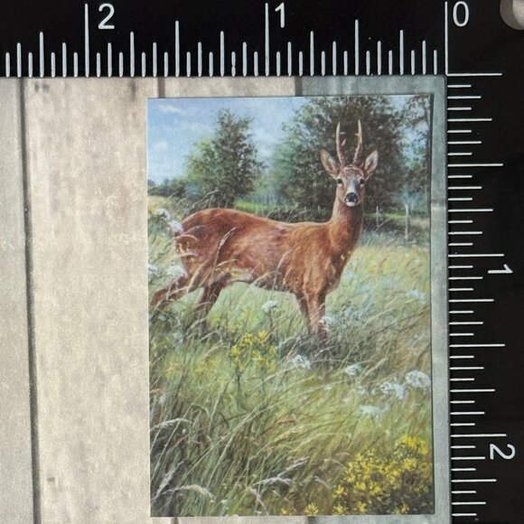 ๐10/$10๐ Classic Hoofed Beasts Reusable Washi Sticker Decal - Picture 1 of 1